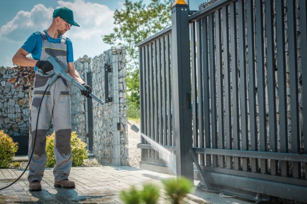 Best Gutter Cleaning  in Pasadena Hills, FL