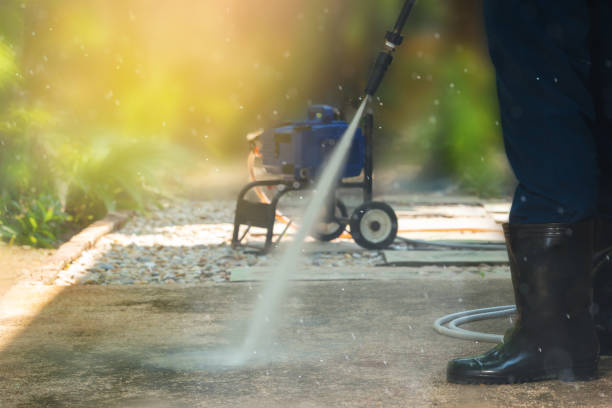 Best Soft Washing  in Pasadena Hills, FL